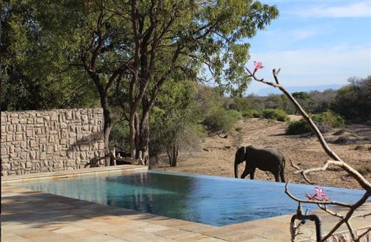 Shumbalala Lodge